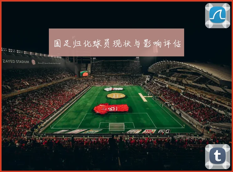 国足归化球员现状与影响评估