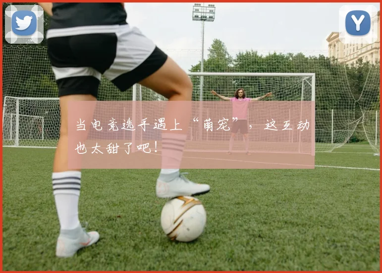 当电竞选手遇上“萌宠”，这互动也太甜了吧！