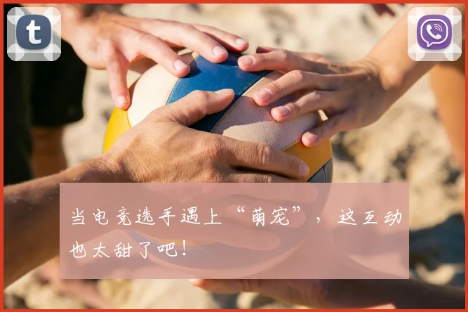当电竞选手遇上“萌宠”，这互动也太甜了吧！